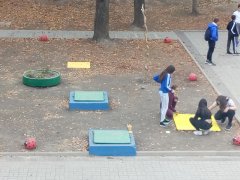 IMG_20191029_132115.jpg